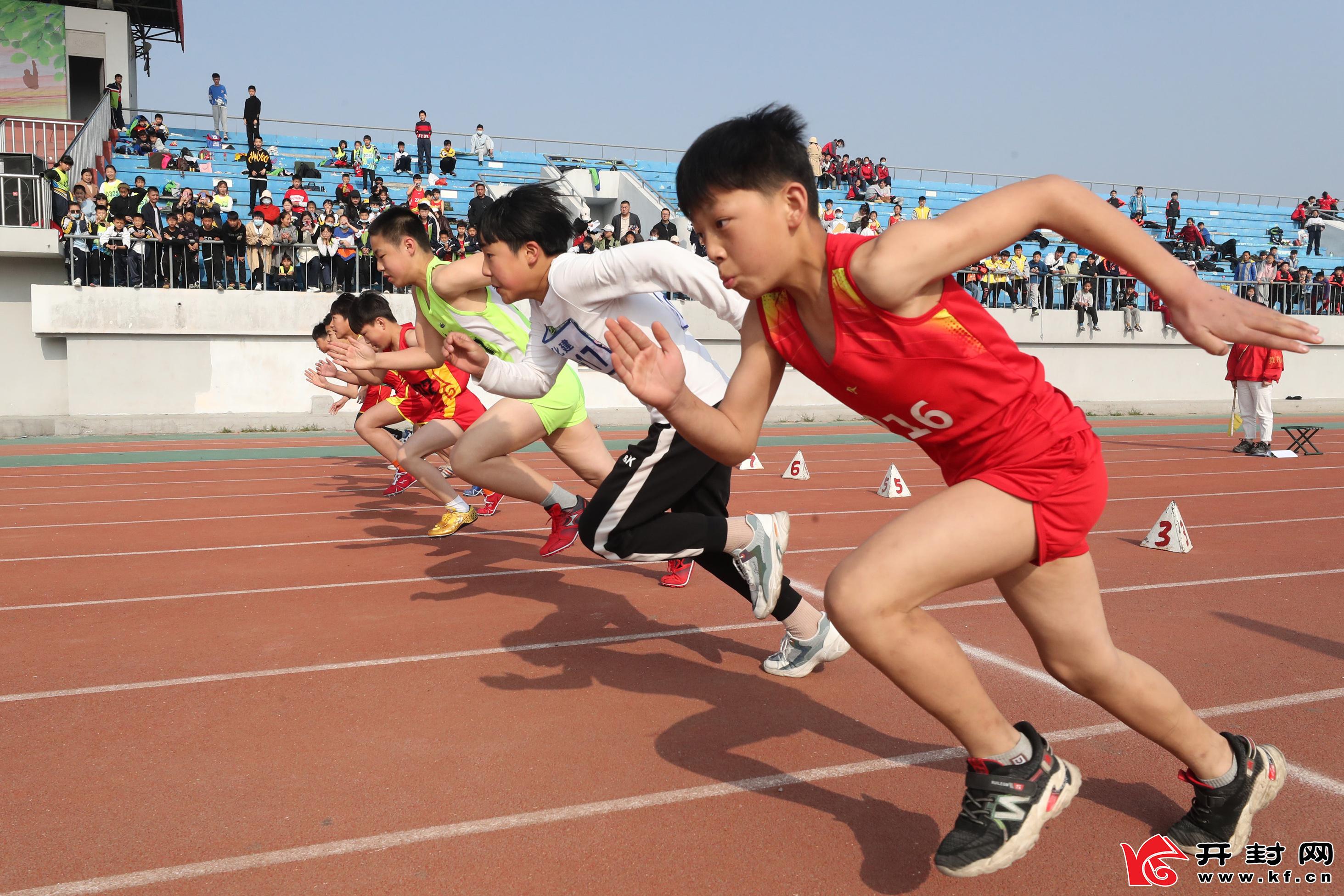 春季养生的最佳选择：运动助你释放压力与bsport体育网址活力